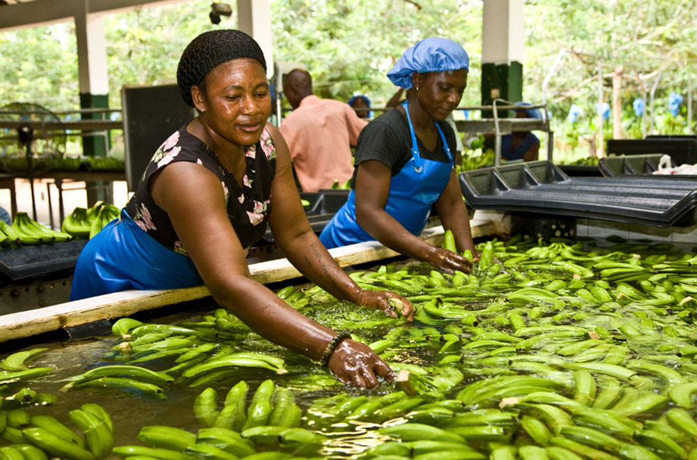 DDL2018-Fairtrade-week-1 DDL2018-Fairtrade-week-1